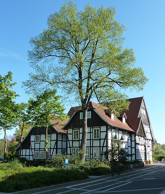 Das Brinkhaus am Marktplatz